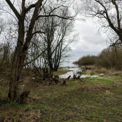Draycote Water - Rugby