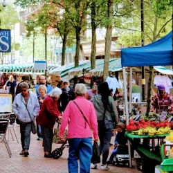 Rugby Market - Rugby