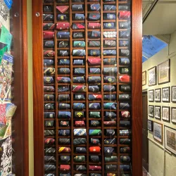 Webb Ellis Rugby Football Museum - Rugby