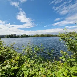 Rushden Lakes Nature Reserve - Rushden