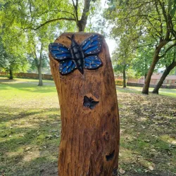 Buile Hill Park - Salford