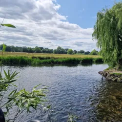 Arundells - Salisbury