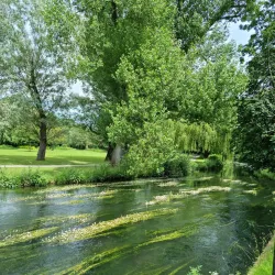 Arundells - Salisbury