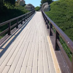 Old Sarum - Salisbury