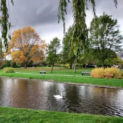 Queen Elizabeth Gardens - Salisbury