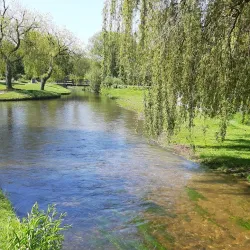 Queen Elizabeth Gardens - Salisbury