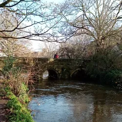Queen Elizabeth Gardens - Salisbury
