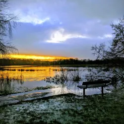 Queen Elizabeth Gardens - Salisbury