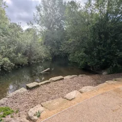 River Avon Walks - Salisbury