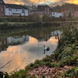 River Avon Walks - Salisbury