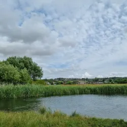 River Avon Walks - Salisbury
