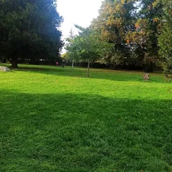 Salisbury Arts Centre - Salisbury