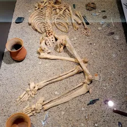 Salisbury Museum - Salisbury