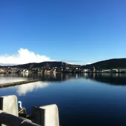 Local Seafood Restaurants - Scalloway