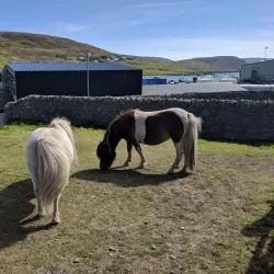 Scalloway Heritage Centre - Scalloway