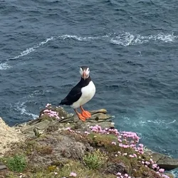 West Voe of Scalloway - Scalloway