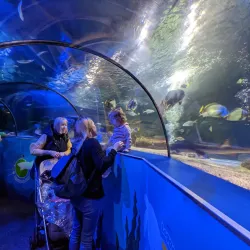 Scarborough SEA LIFE Sanctuary - Scarborough