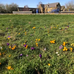 Queenborough Castle - Sheerness