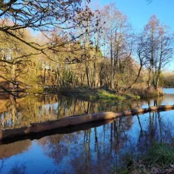 Forge Dam Park - Sheffield