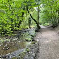 Forge Dam Park - Sheffield