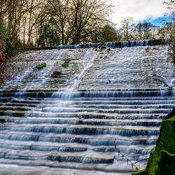 Forge Dam Park - Sheffield