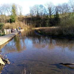 Forge Dam Park - Sheffield