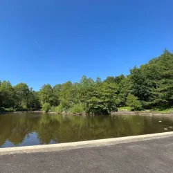 Forge Dam Park - Sheffield