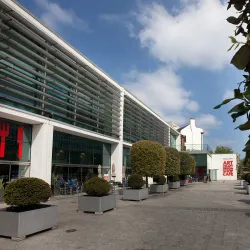 Millennium Gallery - Sheffield