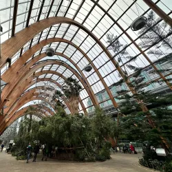 Millennium Gallery - Sheffield