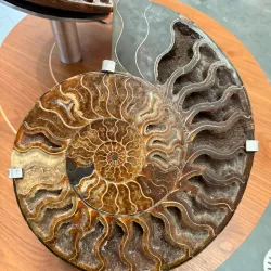 Millennium Gallery - Sheffield