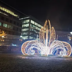 Peace Gardens - Sheffield