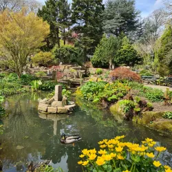 Sheffield Botanical Gardens - Sheffield