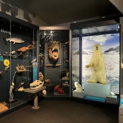 Weston Park Museum - Sheffield