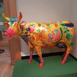 Weston Park Museum - Sheffield