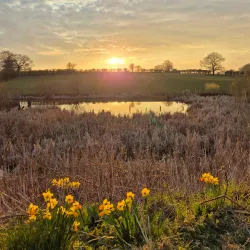 Darwin Trail - Shrewsbury