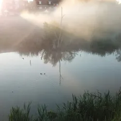 Darwin Trail - Shrewsbury