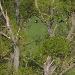 Darwin Trail - Shrewsbury