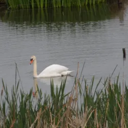 Darwin Trail - Shrewsbury