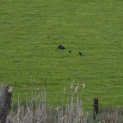 Darwin Trail - Shrewsbury