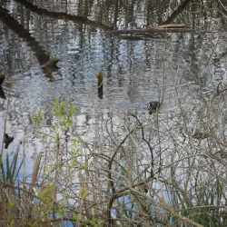 Darwin Trail - Shrewsbury