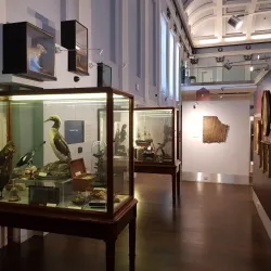 Shrewsbury Museum and Art Gallery - Shrewsbury