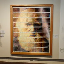 Shrewsbury Museum and Art Gallery - Shrewsbury