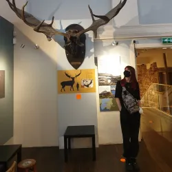 Shrewsbury Museum and Art Gallery - Shrewsbury