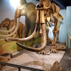 Shropshire Hills Discovery Centre - Shrewsbury