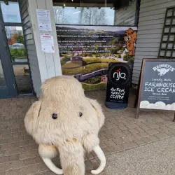 Shropshire Hills Discovery Centre - Shrewsbury