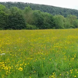 Shropshire Hills Discovery Centre - Shrewsbury