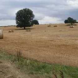 Eurolink Industrial Estate - Sittingbourne