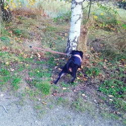 Eurolink Industrial Estate - Sittingbourne