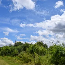 Milton Creek Country Park - Sittingbourne