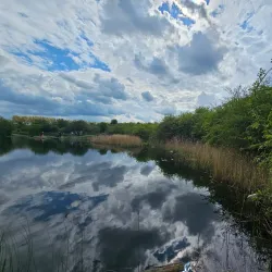 Milton Creek Country Park - Sittingbourne